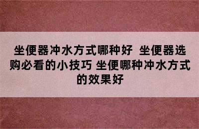 坐便器冲水方式哪种好  坐便器选购必看的小技巧 坐便哪种冲水方式的效果好